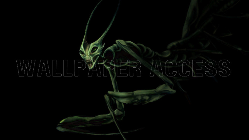 Mantis Wallpapers