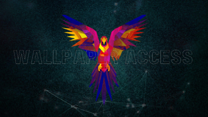 Parrots Wallpapers